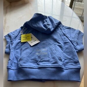 Splendid dog hoodie size XS periwinkle